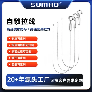 定制拉索 客厅吊灯拉线 监控钢丝绳 健身器材拉线 拉索