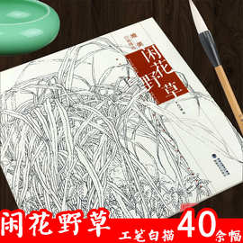 唯美白描精选 闲花野草 福建美术出版社工笔线描花鸟钢笔画铅笔画