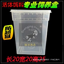 白蛐蛐油葫芦蟋蟀爬虫箱树蛙勾亚蜥蜴饲养箱活体饲料睫角盖老爷