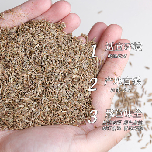 New  Xinjiang Cumin Barbecue Seasoning, 500g Cumin Powder for Grilling, Indian Cumin Seeds