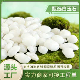 白玉石白色石子庭院造景抛光白石子家装装饰雨花石园林铺路鹅卵石