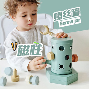 Magnetic Screw Toy, Screw and Nut Matching and Insertion Early Education Educational Hands-On Ability Training Toy