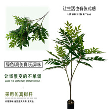 ����Gֲ��ľ�~�㴻��߶��p�ݴ��ͼ٘�ֲ�����ԼҾӾ��^����쾰