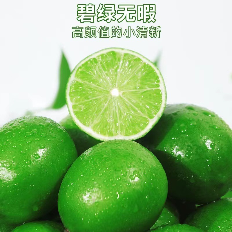 果蜜柠檬水2.5kg德馨糖浆商用奶茶店冰鲜柠檬水柠檬茶果密浓|undefined