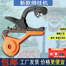 2024�¿֦�C���ѽ����������S���ٽ�֦����������֦�C�z������