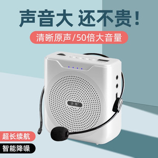 Little Bee Amplifier Teacher's Microphone Portable Bluetooth Tour Guide Promotional Street Stall High Volume