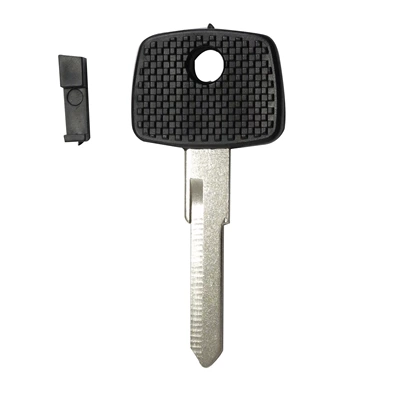 spare lock key embryo foreign — Car Keys