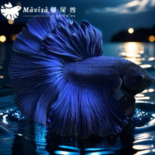 ��β��̩�����~�Ꭷ�^�p�~С���~�׺��B�ԁ���ˮ��Ҋ������������