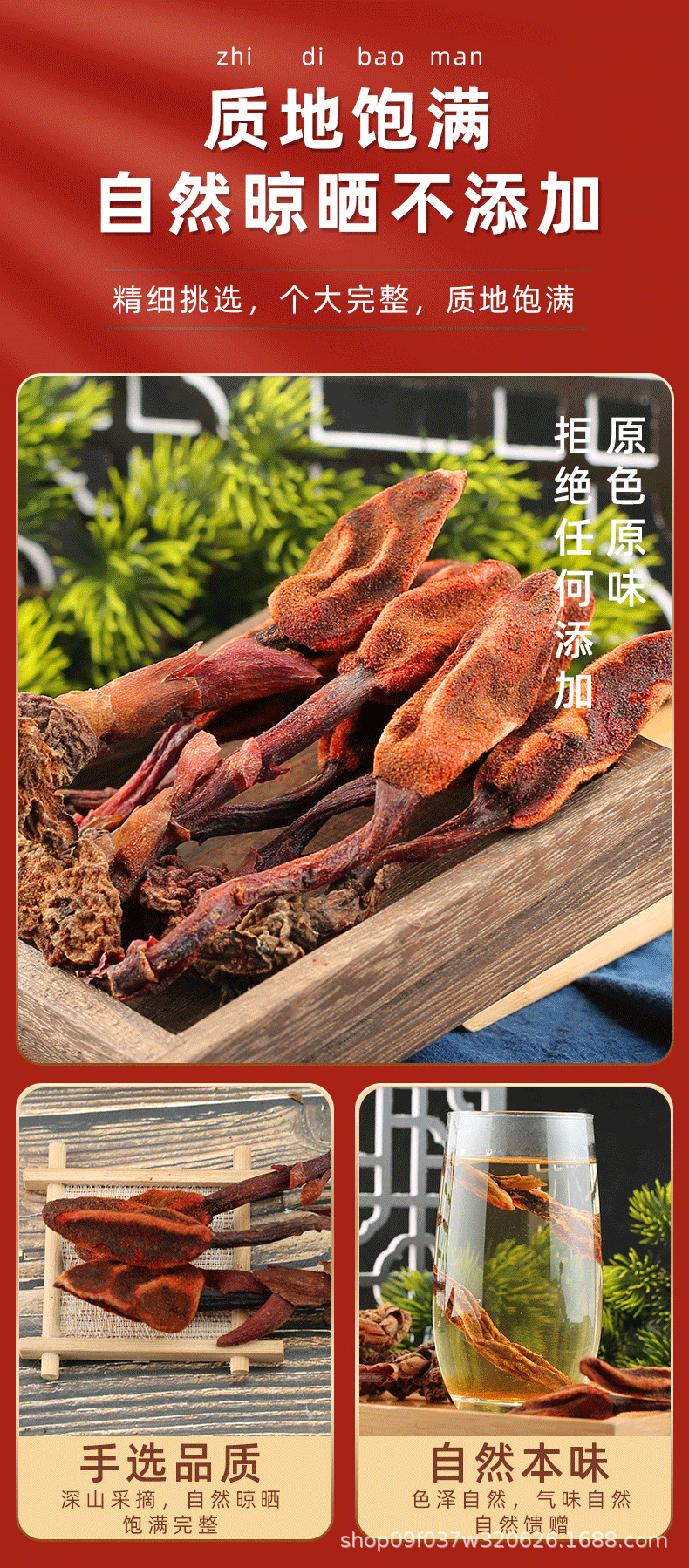 Hui Chun Cao Dried Herb 500g Yunnan Highland Huichuncao Whole Herb for Herbal Wine Infusion quality and texture