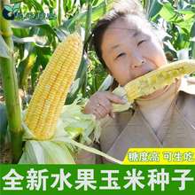 ˮ׷NӸ߮aŴŴļŴѷN