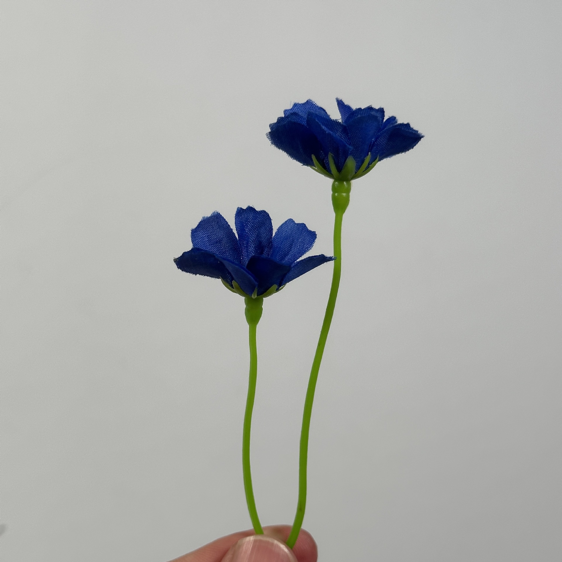 b7595fdff56885c74598c7c0207c6c