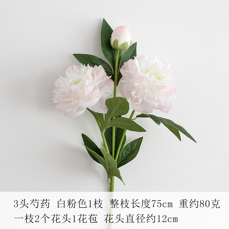 화이트 파우더