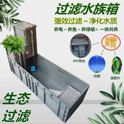 filter thickening Turtle box Water and land Amphibious breed Turtle tank Plastic pool household self-control diy loop