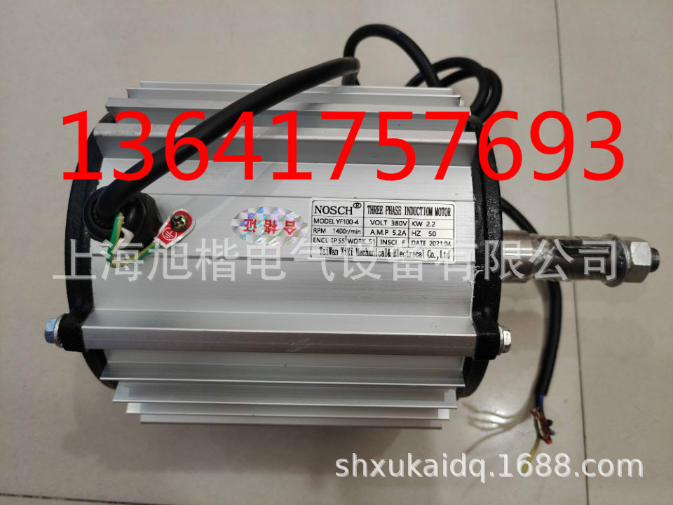 YSF100-10 THREE PHASE INDUCTION MOTOR电机WEIFANG SHUNBAO电机