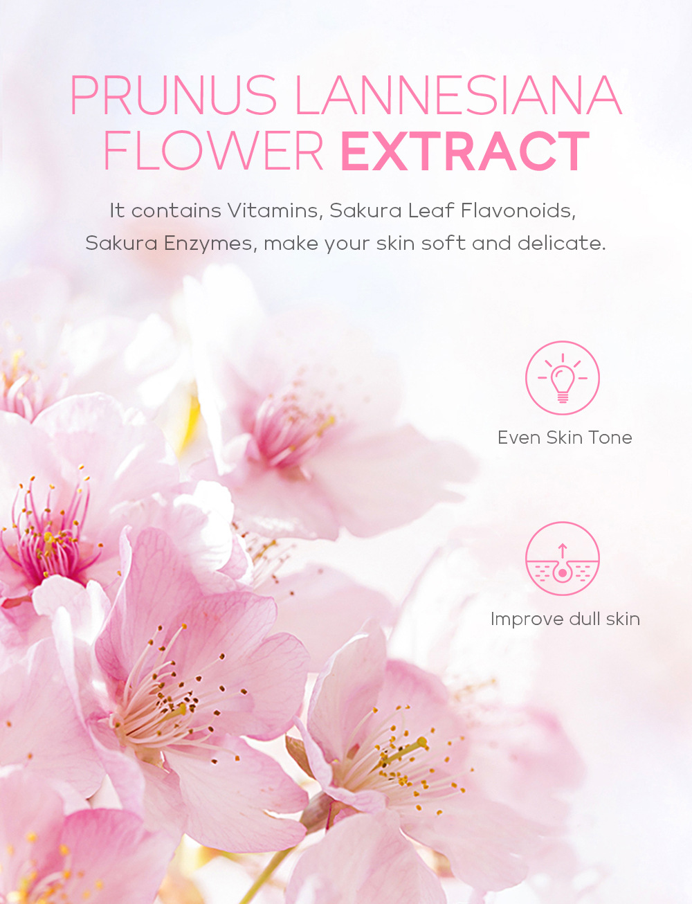 Cross-border fenyi Cherry Blossom solid Mask Stick application type mask for pore cleansing, hydration and moisturizing manufacturer wholesale undefined