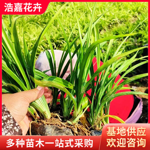 �m������С�缪��� ������ֲ�����ͺ��ļ������^�p�� �m��������