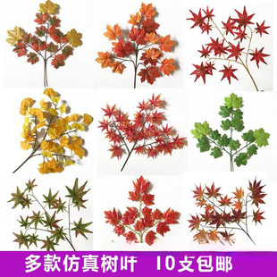 ����t���~�@�ֹ����b���ͩ���~�ә����y���~�＾��֦��ɽ���~