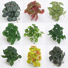 �Gֲ3D��ӡ�����~ֲ�� �Ҿ��҃��b�cֲ������̫��