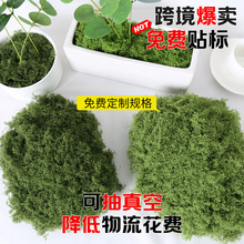 ����̦�\�z ������̦��ƺ�Gֲ�b��쾰��Ƥ�������diy�z���̦�\