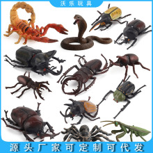 �羳 ���挍��֩�����x����ģ�����R�������xɳ�P�����ƽ̔[��