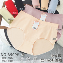 120-160�Ӵ�a�o�p���w�\�]�r��͸���H�wŮʿ���ǃ�ѝA509�M