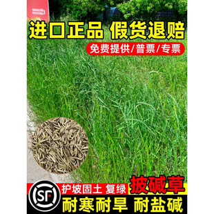 ���|�ݲ����o�¹������Lɳ��ؚ����}���|��â����ݱ����|é�N��