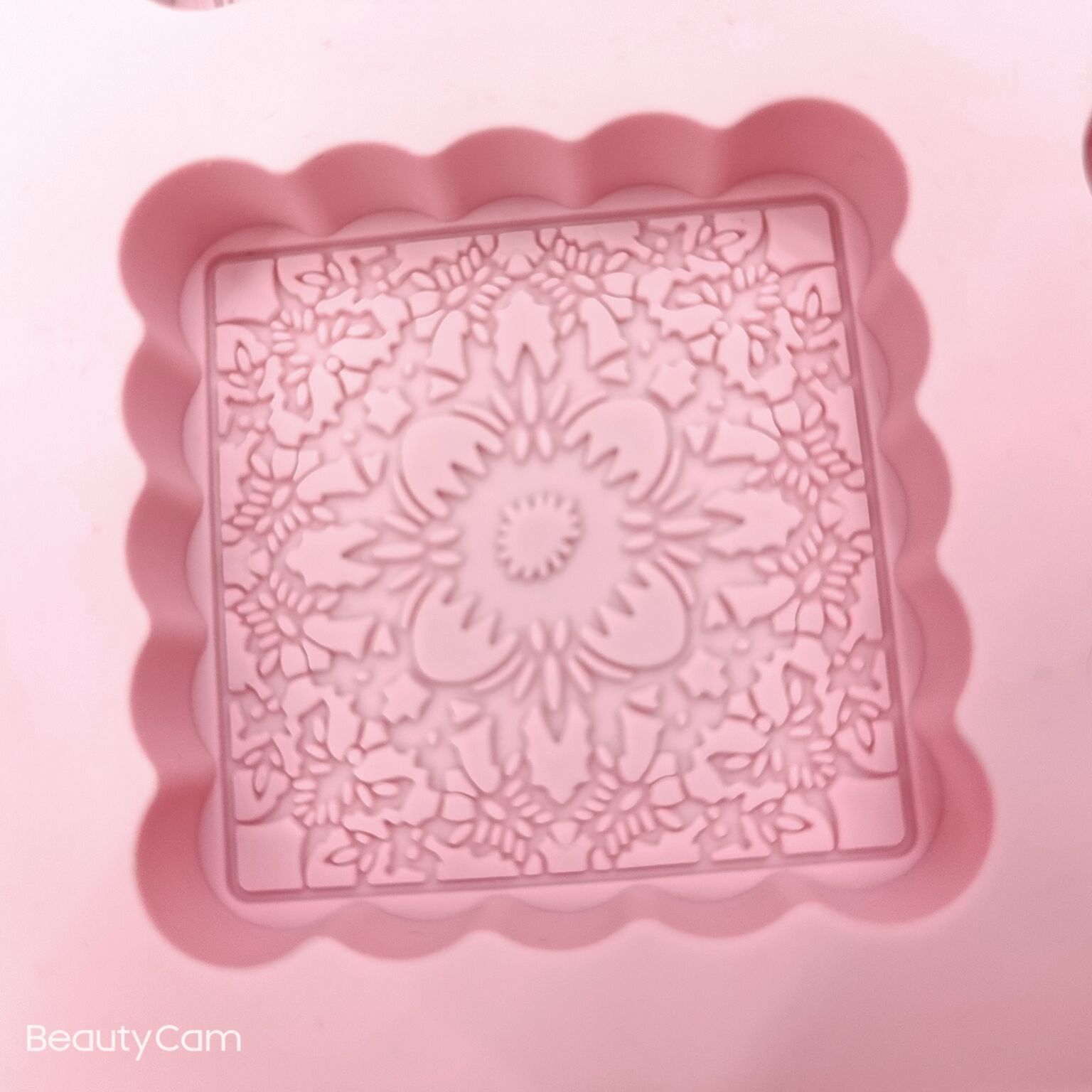 ���������轺����ģ�� ����DIY��������Ľ˹���������決����