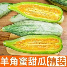 【爆款】山东羊角蜜甜瓜新鲜水果当季脆甜蜜瓜香瓜时令羊角脆整箱