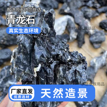 酸洗青龙石景观石假山流水石叠石鱼缸草缸水陆缸造景原石青龙石