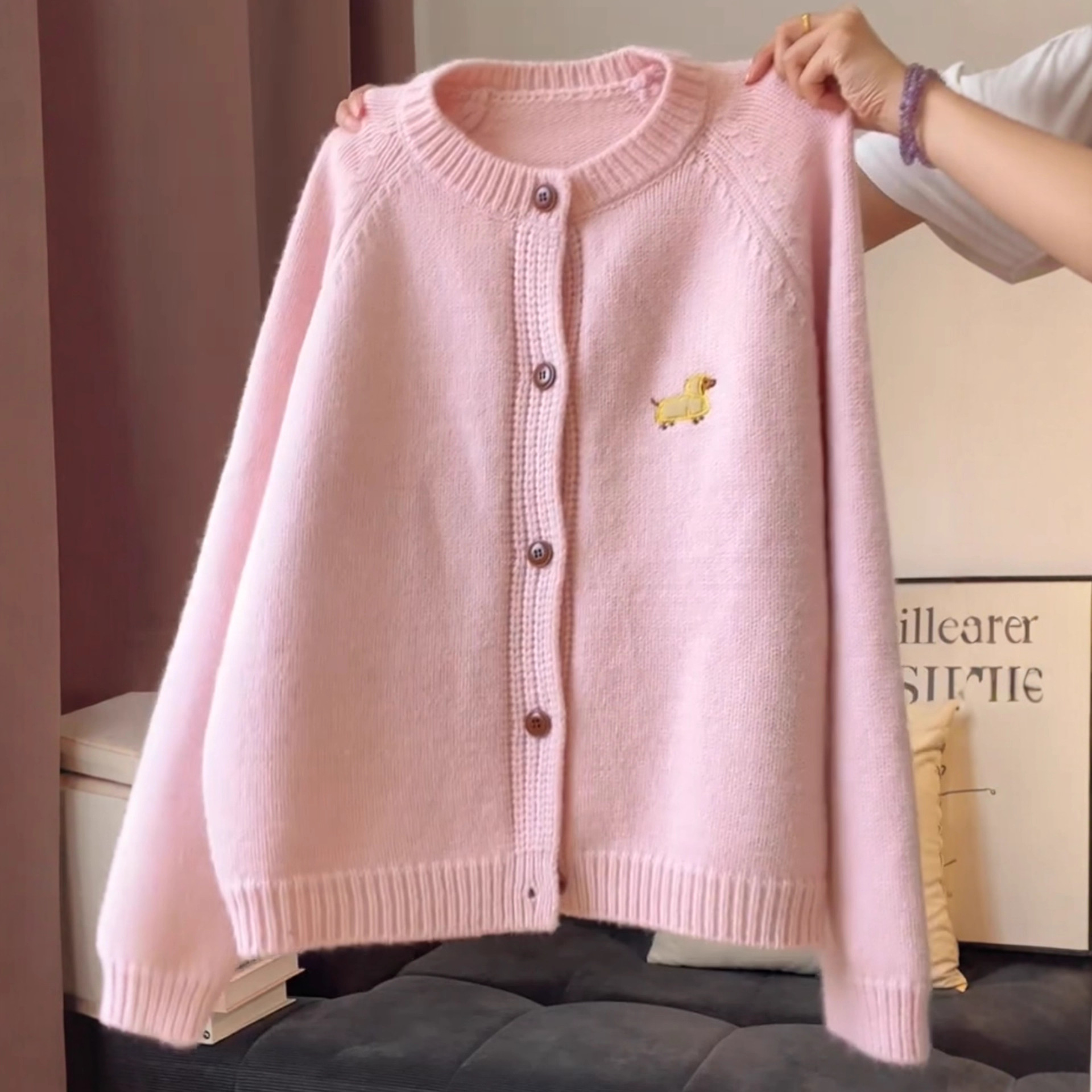 Atmospheric Lazy Loose Sweater Jacket 2025 Autum Design Cartoon Puppy Embroidered Knitted Cardigan Top