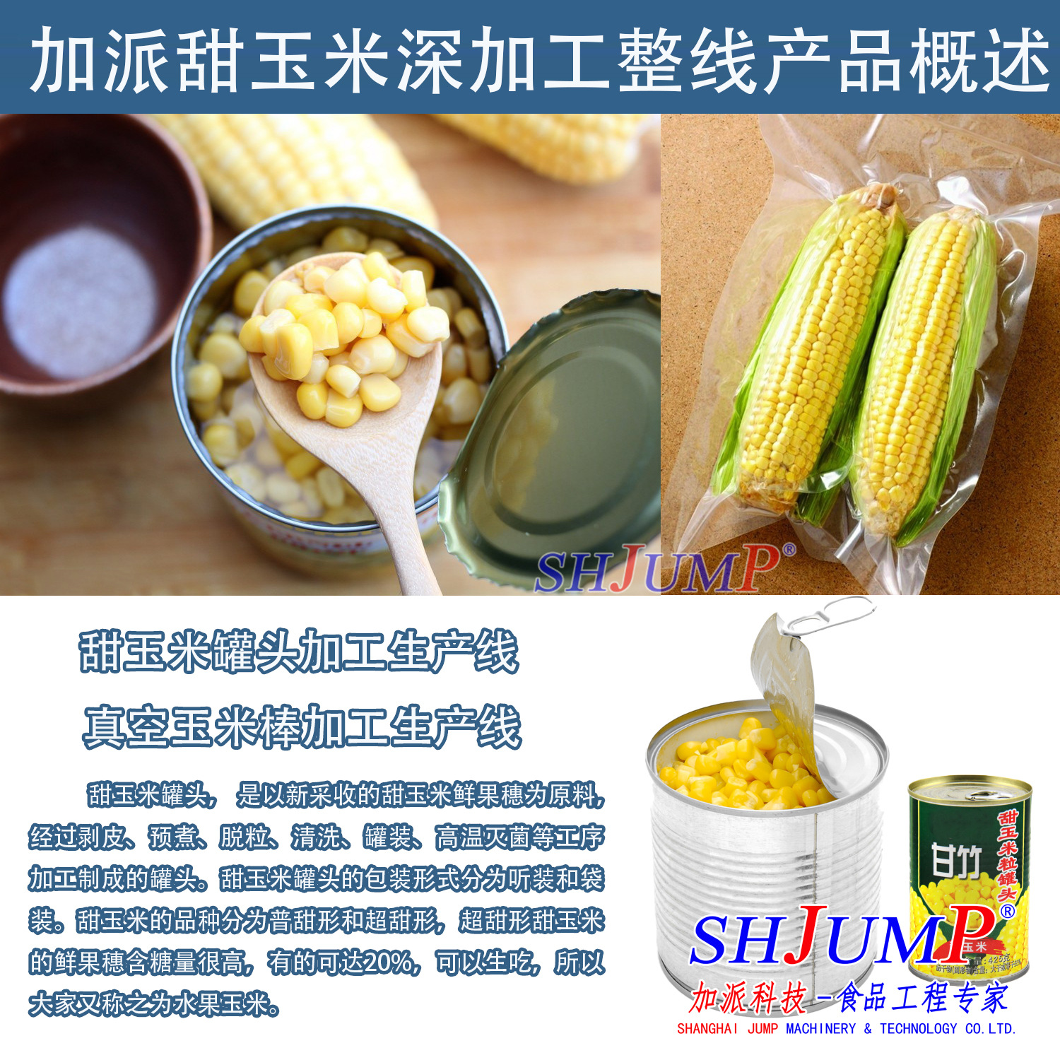 玉米罐頭加工生產(chǎn)線1