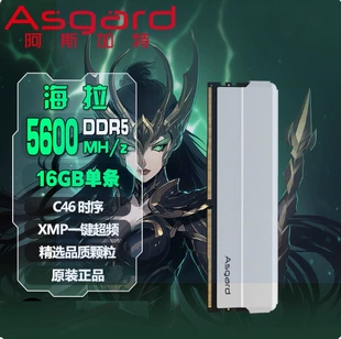 Оперативная память (Asgard) DDR5-5600 16 ГБ C46, поддержка XMP, радиатор титаново‑серебристый