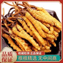 冬虫夏草直发西藏那曲冬虫夏草干虫草碎草正品虫草批发代发