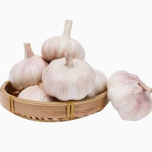 大蒜头garlic干蒜紫皮新鲜多瓣出口