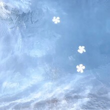 042808 ��ͯ�д�ͯ�ճ����аٴ�ƴɫ���ʷ��������ѹ�˶���Ь