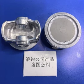 其他发动系统;气门及部件;活塞/活塞环