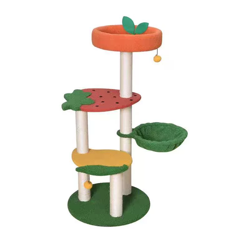 Strawberry, climbing frame, toy, cat