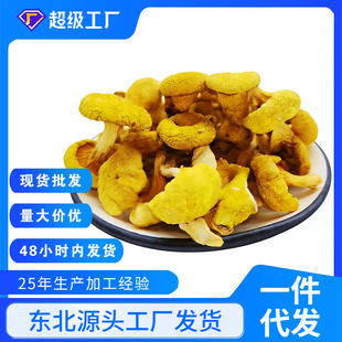 �|��ԭ�a���S�����S�����������ϰ���؛���l �u�;�