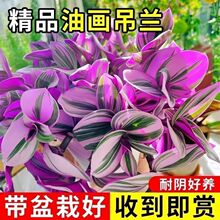 �ͮ���Y���m�ͺ����B�׻�����՚ⴹ��ֲ��͏d�̨�ļ��_��