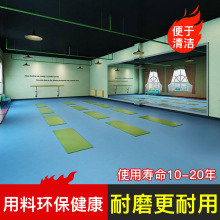 �WУ�\�ӵ��zPVC���������z�ذ�@��ƹ������ë������z�|�h��