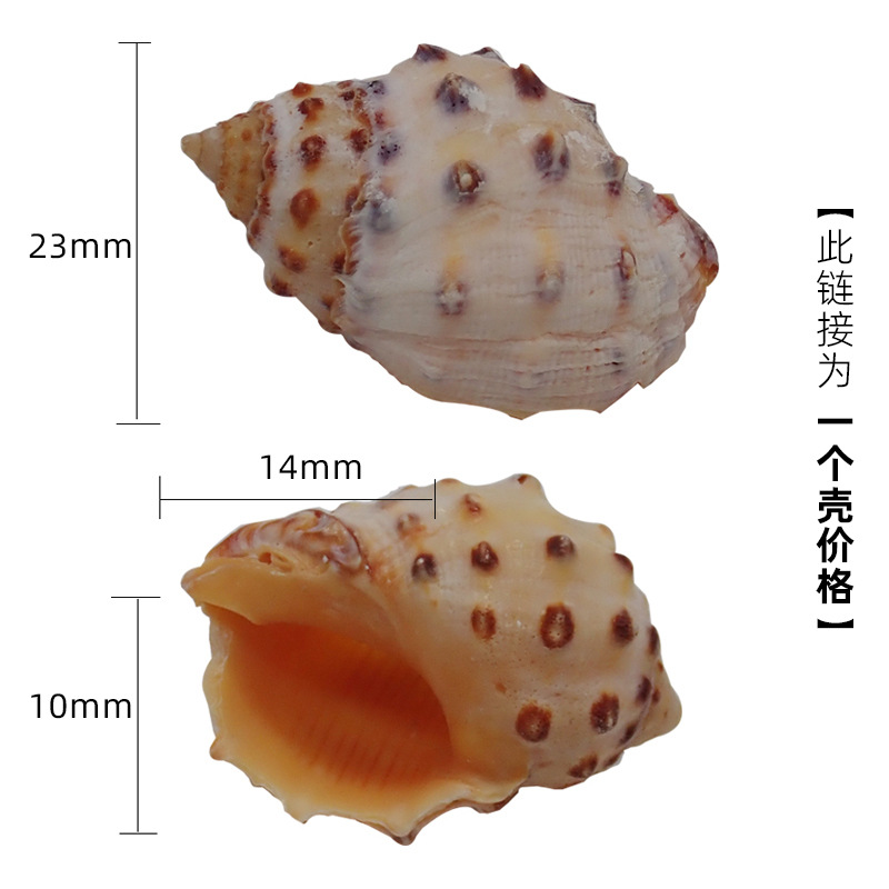 X06 파인애플 껍질 소형 사이즈 2cm 이상의 게에 적합