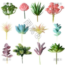 �������ֲ���辰ֲ�q�����˶�������Gֲ��DIY�Ҿ��b[��