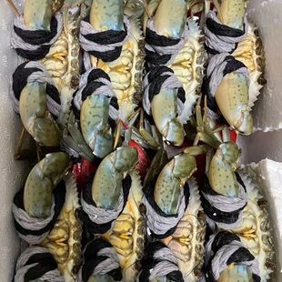 Ұ���t�\��з  �|ɽ�uԭ�a��ֱ���������~�Mœһ�����lֱ����