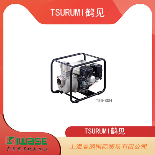 TSURUMI鹤见 基础版重型潜水式海水泵和污水泵 80BP2.75S