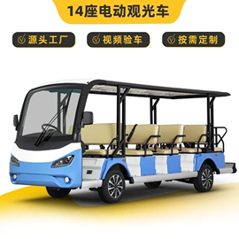 电动观光车;其他电动车
