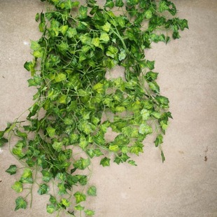 �����~����ɽ���ع��~ �پG�~�����~�b� diy����Gֲ�ٗl