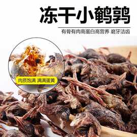 鹌鹑冻干营养猫咪零食批发包邮冻干猫零食奖励去毛鹌鹑高蛋白零食