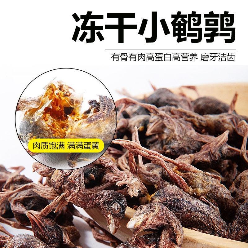 Freeze-Dried Quail Nutritional Snacks for Cats, Chew Treats, Wholesale Freeze-Dried Cat Snacks, Reward Treats, Quail Snacks for Distribution