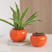 创意柿子绿萝水培花瓶容器茶叶罐插花瓶子水养植物花盆桌面小摆件