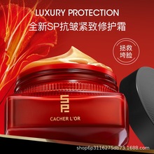 SP�ؽ������������o�o�˪갽���˪�ؼt������ˬ������������F�D